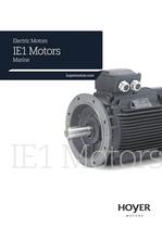 IE1motor-marine