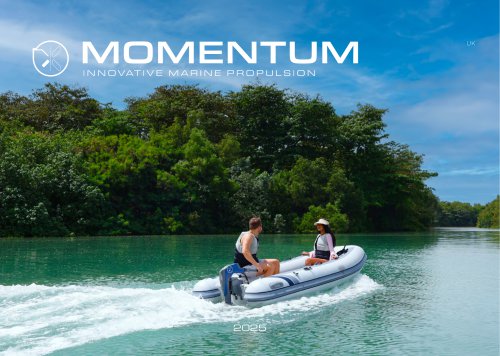 Momentum Brochure