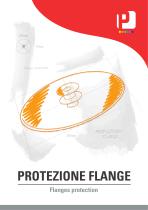 2021 FLANGES PROTECTION